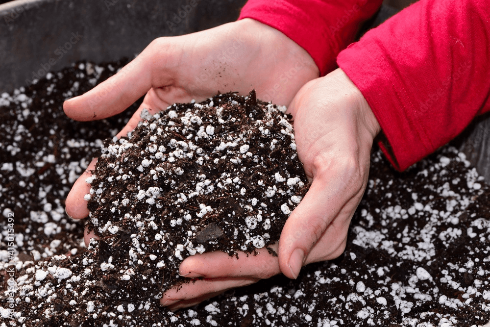 Baltiva Peat Substrate