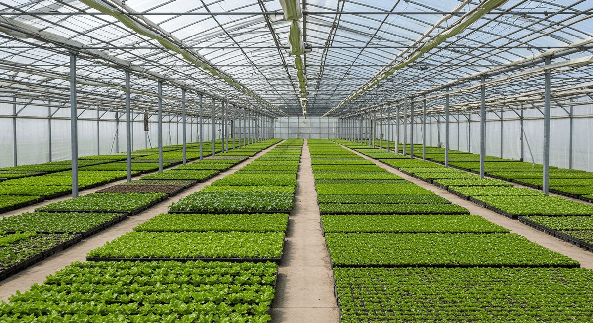 Vegetable Substrates