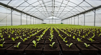 Press-Cube substrate